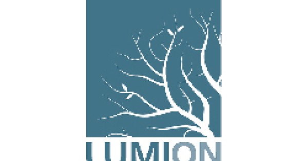 Производитель Lumion на сайте магазина DecorSvet