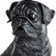 Настольная лампа Arte Lamp Bobby A1512LT-1BK Настольная лампа Arte Lamp Bobby A1512LT-1BK