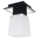 Потолочный светильник Lussole Lente GRLSC-2507-01 Потолочный светильник Lussole Lente GRLSC-2507-01