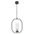 Подвесной светильник Arte Lamp Celaeno A7004SP-1BK