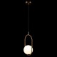 Подвесной светильник Loft IT Glob LOFT2595-A Подвесной светильник Loft IT Glob LOFT2595-A