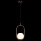 Подвесной светильник Loft IT Glob LOFT2595-A Подвесной светильник Loft IT Glob LOFT2595-A