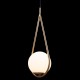 Подвесной светильник Loft IT Glob LOFT2599-A Подвесной светильник Loft IT Glob LOFT2599-A
