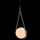 Подвесной светильник Loft IT Glob LOFT2599-B Подвесной светильник Loft IT Glob LOFT2599-B