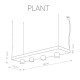 Подвесной светильник Nowodvorski Plant 9381 Подвесной светильник Nowodvorski Plant 9381