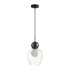 Подвесной светильник Odeon Light Blacky 5023/1