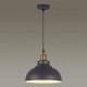 Подвесной светильник Odeon Light Pendant Mirt 3366/1