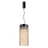 Подвесной светильник Odeon Light PILLARI 5047/10L