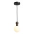Подвесной светильник ST Luce SL6226.403.01