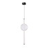 Подвесной светодиодный светильник Arte Lamp Rigla A6839SP-12CL