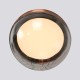 Подвесной светодиодный светильник Favourite Luna 4371-1P Подвесной светодиодный светильник Favourite Luna 4371-1P