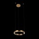Подвесной светодиодный светильник Loft IT Ring 10013S Подвесной светодиодный светильник Loft IT Ring 10013S