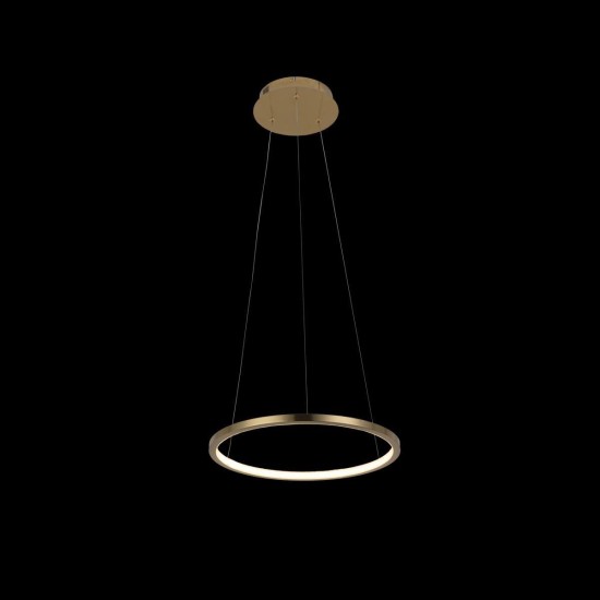 Подвесной светодиодный светильник Loft IT Ring 10014S Подвесной светодиодный светильник Loft IT Ring 10014S