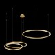 Подвесной светодиодный светильник Loft IT Ring 10017/3L Подвесной светодиодный светильник Loft IT Ring 10017/3L