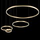 Подвесной светодиодный светильник Loft IT Ring 10017/4L Подвесной светодиодный светильник Loft IT Ring 10017/4L