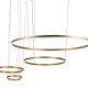 Подвесной светодиодный светильник Loft IT Ring 10017/4L Подвесной светодиодный светильник Loft IT Ring 10017/4L
