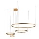 Подвесной светодиодный светильник Loft IT Ring 10017/4M Подвесной светодиодный светильник Loft IT Ring 10017/4M