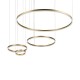 Подвесной светодиодный светильник Loft IT Ring 10017/4M Подвесной светодиодный светильник Loft IT Ring 10017/4M