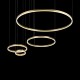 Подвесной светодиодный светильник Loft IT Ring 10017/4S Подвесной светодиодный светильник Loft IT Ring 10017/4S