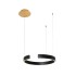 Подвесной светодиодный светильник Loft IT Ring 10025/400 Black