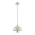 Подвесной светодиодный светильник Lumion Ledio Globe 6567/6L