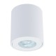 Потолочный светильник Arte Lamp Tino A1469PL-1WH Потолочный светильник Arte Lamp Tino A1469PL-1WH