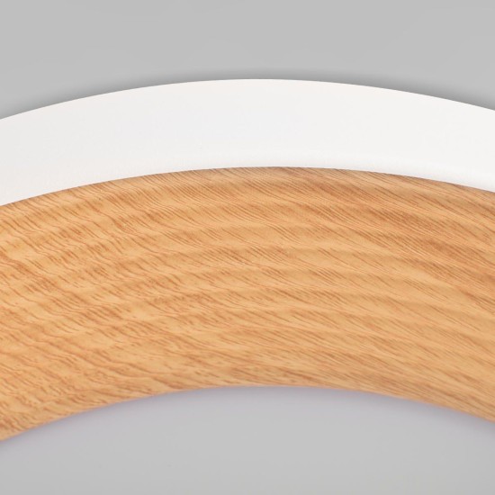 Потолочный светильник Loft IT Folk 10255/500 White Потолочный светильник Loft IT Folk 10255/500 White