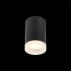 Потолочный светильник ST Luce ST100.402.01 Потолочный светильник ST Luce ST100.402.01
