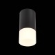 Потолочный светильник ST Luce ST100.412.01 Потолочный светильник ST Luce ST100.412.01