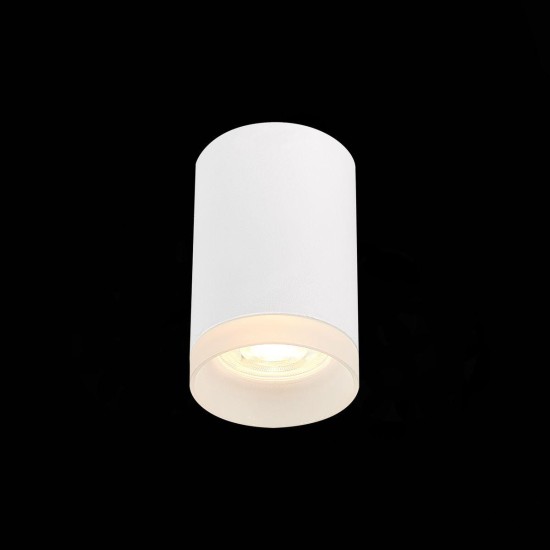 Потолочный светильник ST Luce ST100.502.01 Потолочный светильник ST Luce ST100.502.01