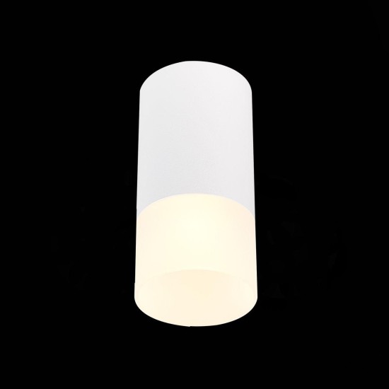 Потолочный светильник ST Luce ST100.512.01 Потолочный светильник ST Luce ST100.512.01