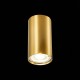 Потолочный светильник ST Luce ST110.207.01 Потолочный светильник ST Luce ST110.207.01