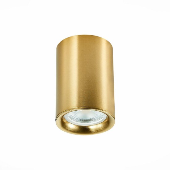 Потолочный светильник ST Luce ST114.207.01 Потолочный светильник ST Luce ST114.207.01