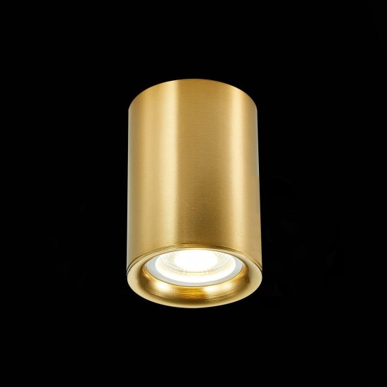 Потолочный светильник ST Luce ST114.207.01 Потолочный светильник ST Luce ST114.207.01