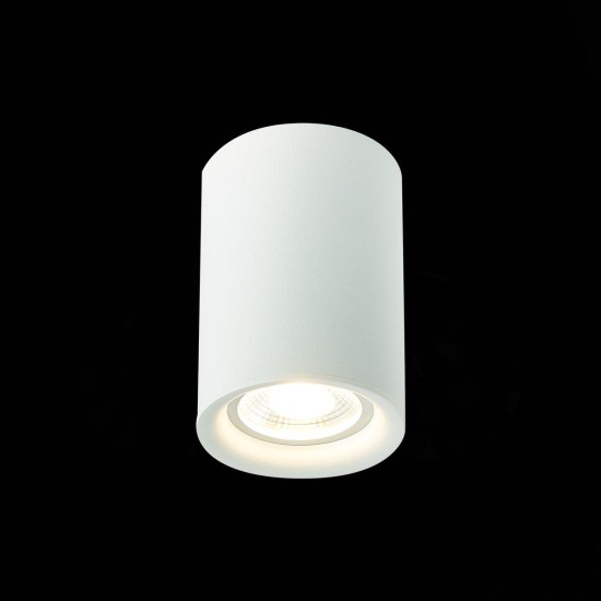 Потолочный светильник ST Luce ST114.507.01 Потолочный светильник ST Luce ST114.507.01