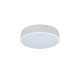 Потолочный светодиодный светильник Loft IT Axel 10002/12 white Потолочный светодиодный светильник Loft IT Axel 10002/12 white