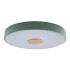 Потолочный светодиодный светильник Loft IT Axel 10003/24 green