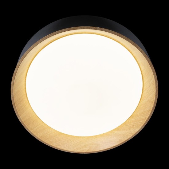 Потолочный светодиодный светильник Loft IT Coin 10202 Black Потолочный светодиодный светильник Loft IT Coin 10202 Black