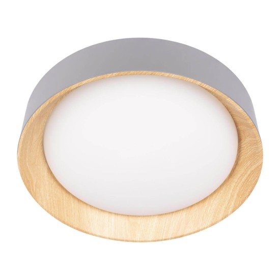 Потолочный светодиодный светильник Loft IT Coin 10202 Grey Потолочный светодиодный светильник Loft IT Coin 10202 Grey