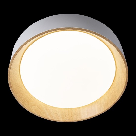 Потолочный светодиодный светильник Loft IT Coin 10202 White Потолочный светодиодный светильник Loft IT Coin 10202 White
