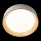 Потолочный светодиодный светильник Loft IT Coin 10202 White Потолочный светодиодный светильник Loft IT Coin 10202 White
