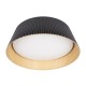 Потолочный светодиодный светильник Loft IT Evans 10224 Black Потолочный светодиодный светильник Loft IT Evans 10224 Black