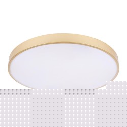 Потолочный светодиодный светильник Loft IT Flims 10228/B