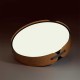 Потолочный светодиодный светильник Sonex Avra Coraggio 7721/120L Потолочный светодиодный светильник Sonex Avra Coraggio 7721/120L