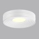 Потолочный светодиодный светильник Sonex Avra Macaron 7704/40L Потолочный светодиодный светильник Sonex Avra Macaron 7704/40L