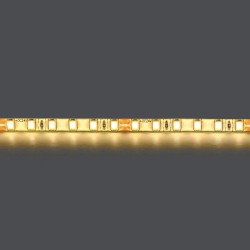 Светодиодная влагозащищенная лента Lightstar 12W/m 120LED/m теплый белый 5M 420553